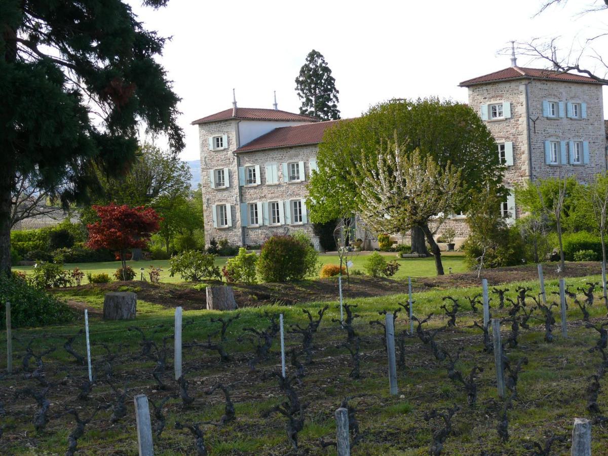 Chateau De Grandmont Chambres D'Hotes Blacé Buitenkant foto